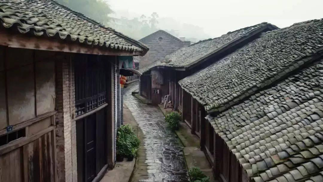 蓝狐视频